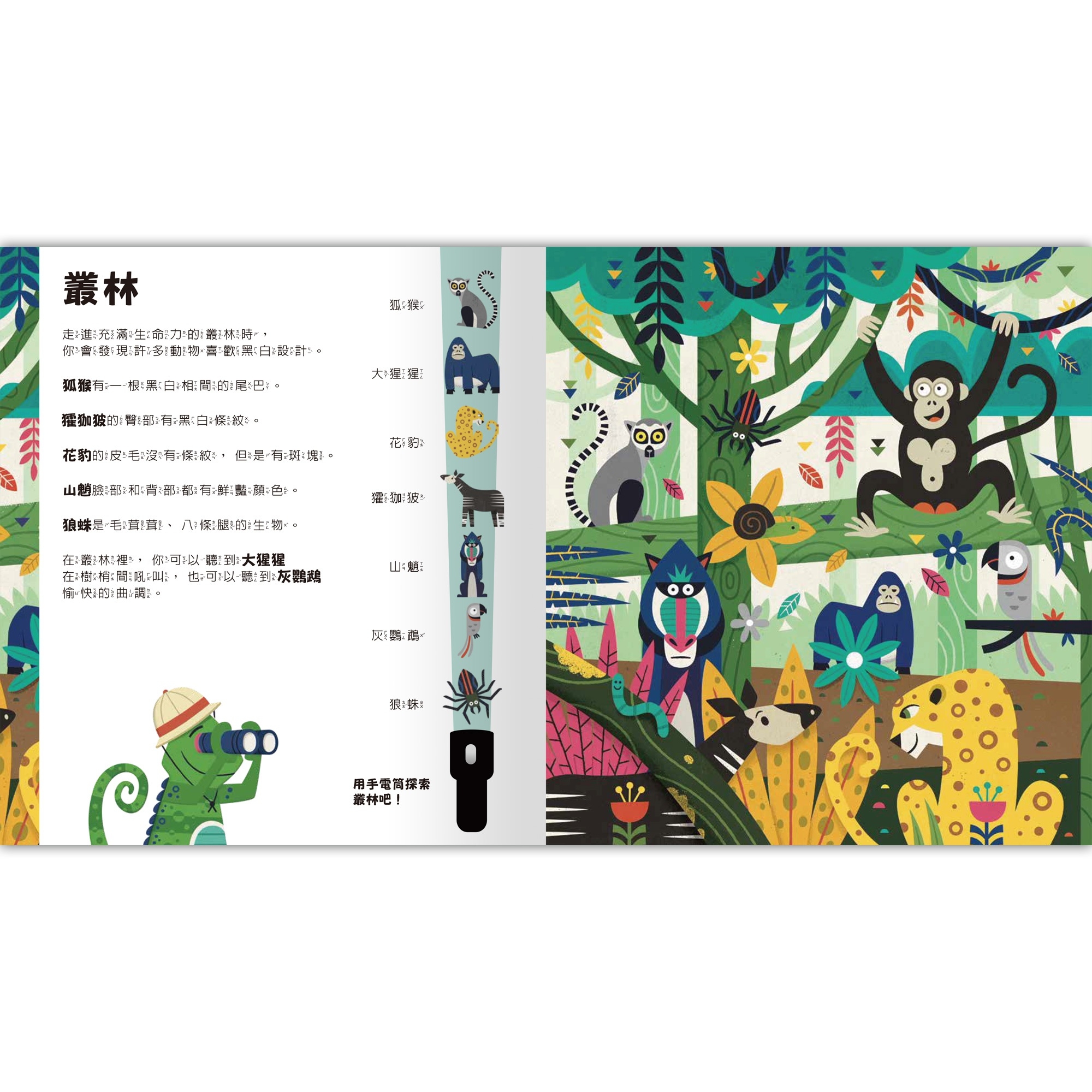 Spotlight!夜遊野生動物